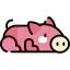 Pig icon 64x64