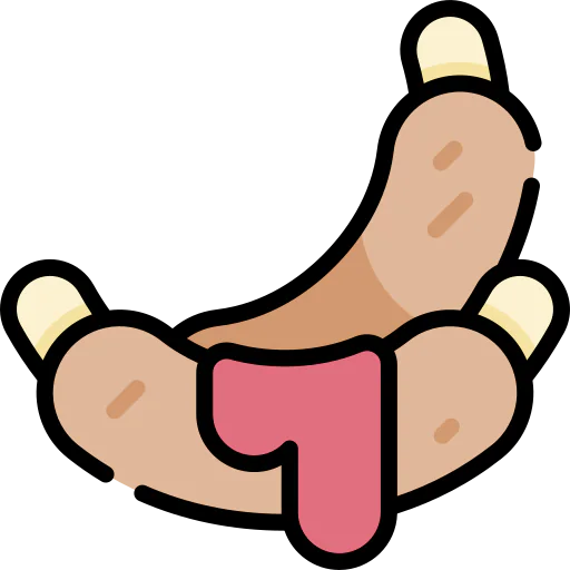 Ribs icon