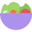 Salad icon 64x64