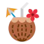 Coconut icon 64x64