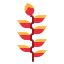 Orchid icon 64x64