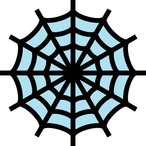 Spider web icon