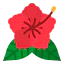 Hibiscus icon 64x64