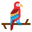 Macaw icon 64x64