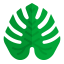 Monstera leaf Symbol 64x64