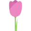 Tulip Symbol 64x64