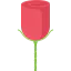 Rose icon 64x64