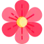 Flower icon 64x64