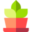 Fern 图标 64x64