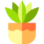 Fern 图标 64x64