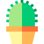 Cactus icon 64x64