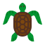 Turtle icon 64x64