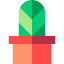 Cactus icon 64x64
