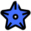 Starfish icon 64x64