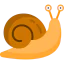 Snail icon 64x64
