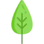 Leaf icon 64x64