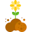 Sprout icon 64x64