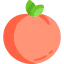 Apricot icon 64x64