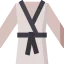 Martial art icon 64x64