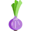 Onion icon 64x64
