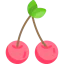 Cherries icon 64x64