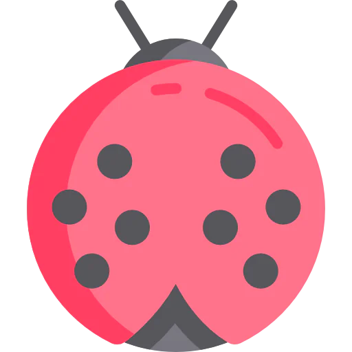 Ladybug icon