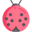 Ladybug icon 64x64