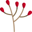 Branch icon 64x64