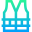 Life vest icon 64x64