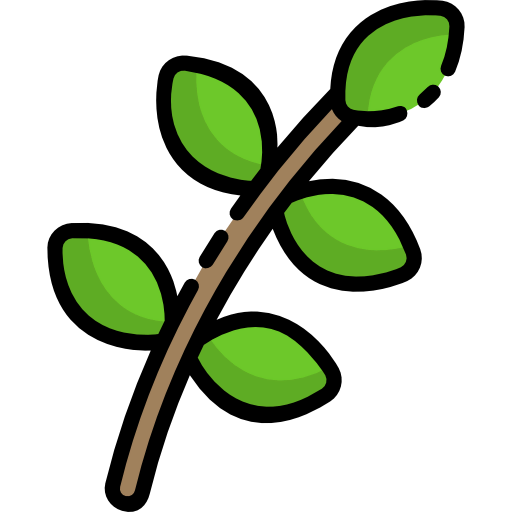 Branch icon