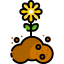 Sprout icon 64x64