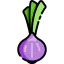 Onion icon 64x64