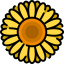 Sunflower icon 64x64