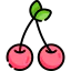 Cherries icon 64x64