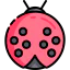 Ladybug icon 64x64