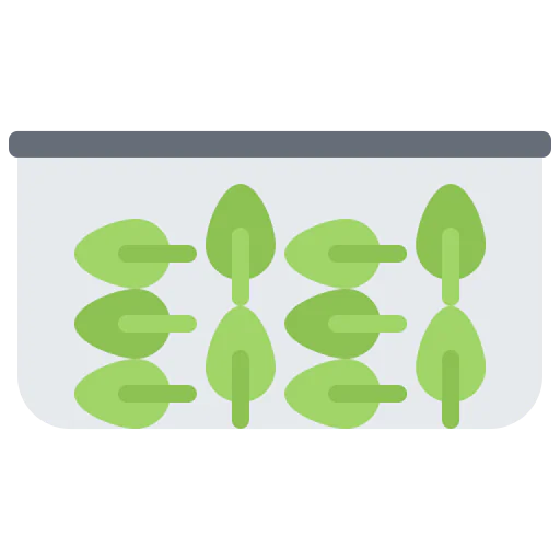 Spinach icon