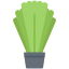 Salad icon 64x64