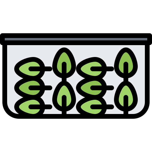 Spinach icon
