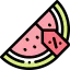 Watermelon icon 64x64