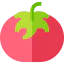 Tomato icon 64x64
