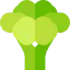 Broccoli biểu tượng 64x64