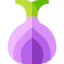 Onion icon 64x64