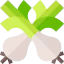 Onion icon 64x64