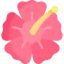 Hibiscus icon 64x64