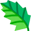 Leaf icon 64x64