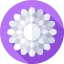 Flowers icon 64x64