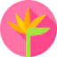 Flowers icon 64x64