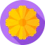 Flowers icon 64x64