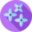 Flowers icon 64x64