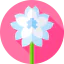 Flowers icon 64x64